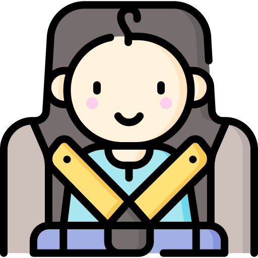 Home 9 baby car seat 1